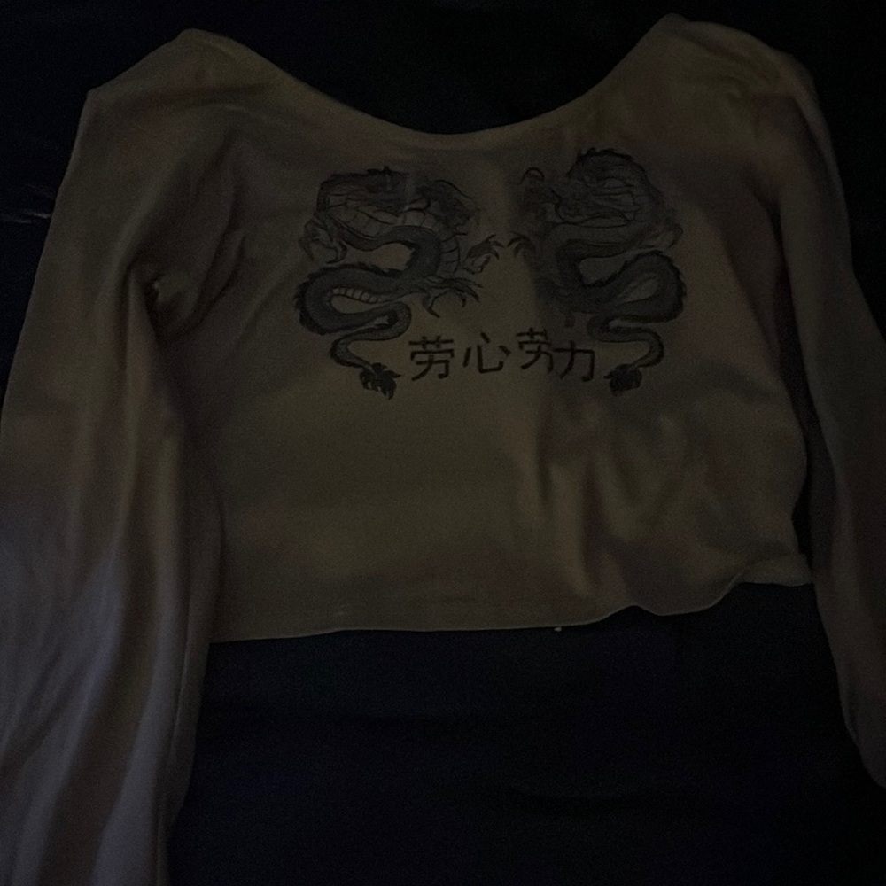 Brown, long sleeve shirt